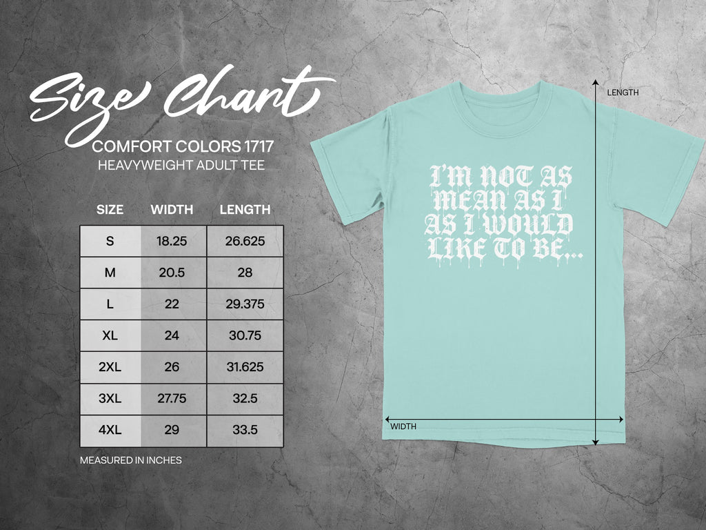Size chart for Comfort Colors heavyweight adult tee with measurements.